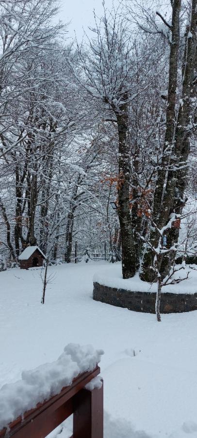 Vikendica Crkvina Villa Kolasin Luaran gambar
